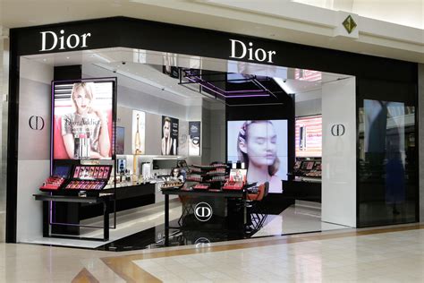 Shop DIOR Online 